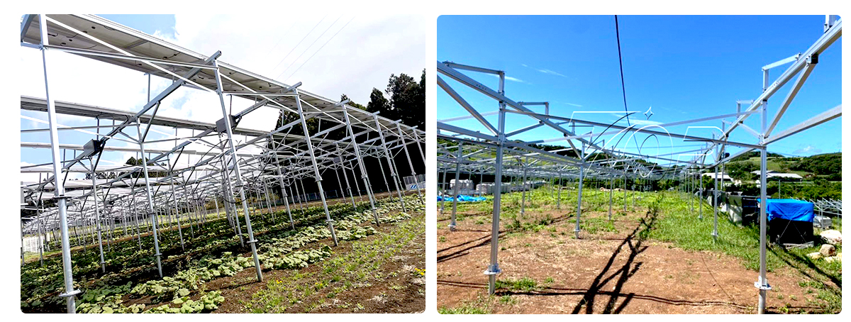 solar farm solution