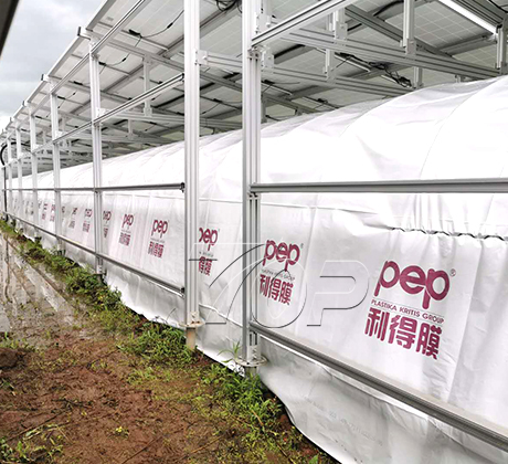 2MW Greenhouse Farm Shed in Japan